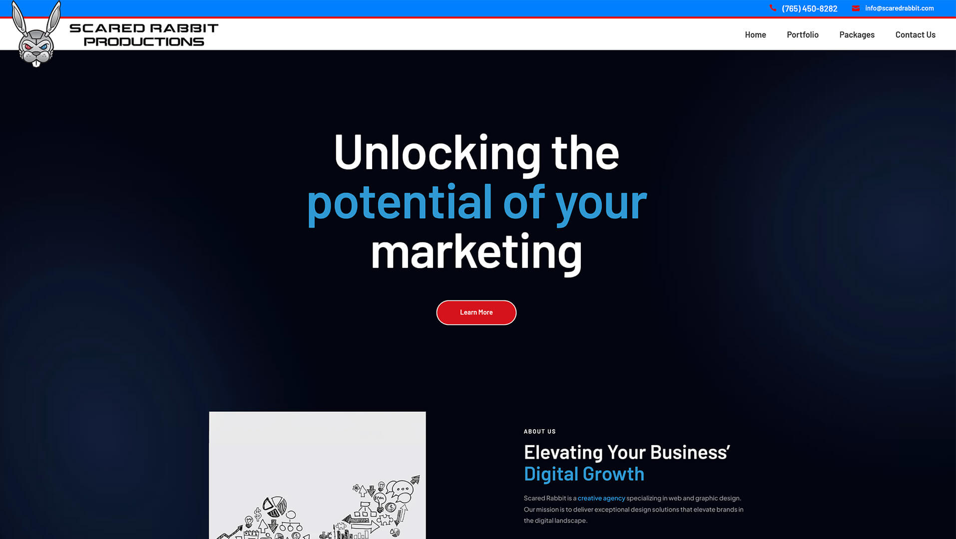Scared Rabbit, Web Design, Indiana