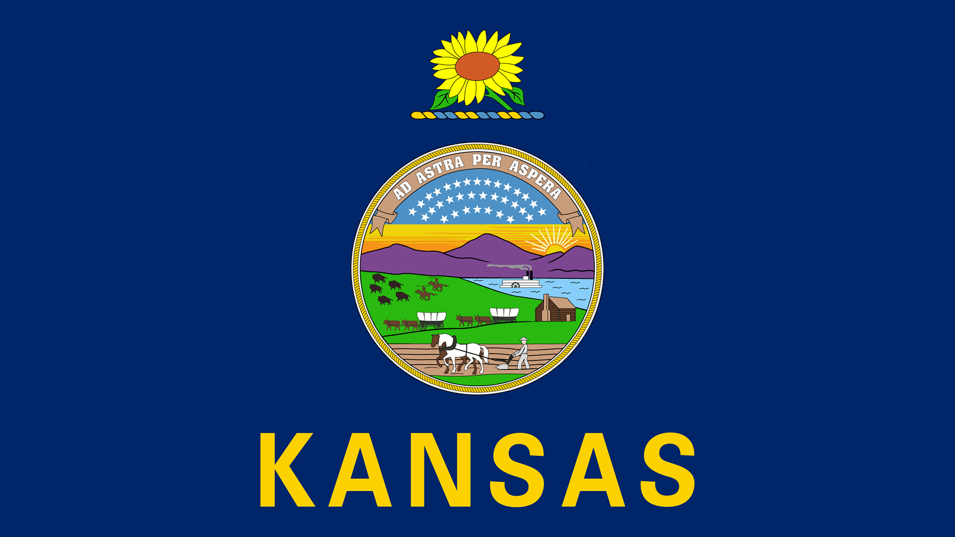 Kansas, Web Design