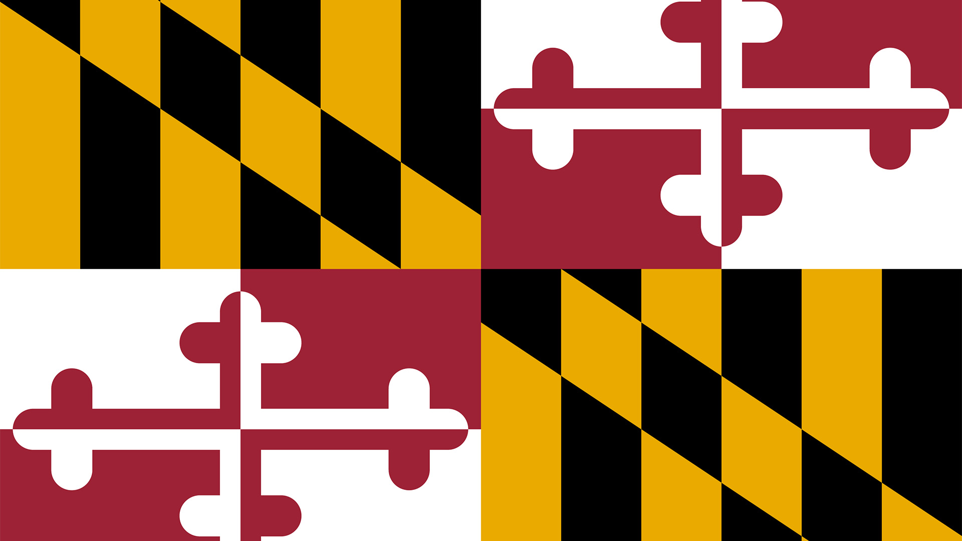 Maryland, Web Design