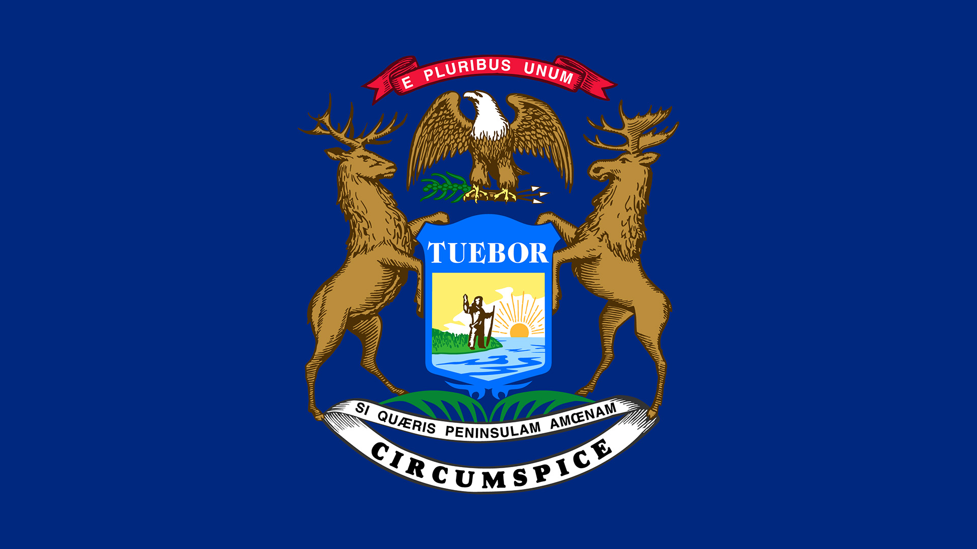 Michigan, Web Design