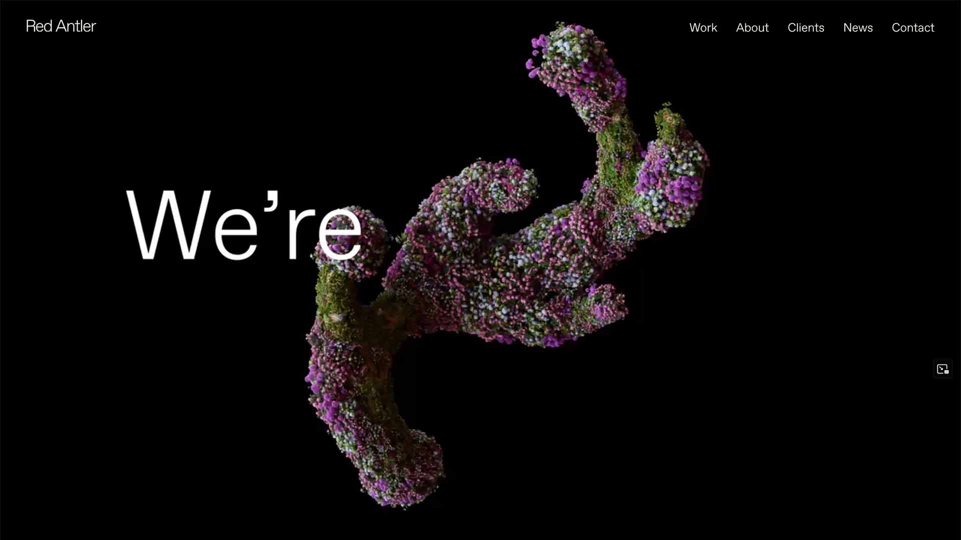 Red Antler, Brand, Design