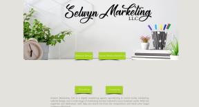 Selwyn LLC