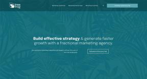 Tree Frog, Indiana Web Design