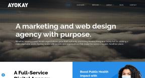 Ayokay, Web Design, Indianapolis, IN